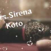 ヒメ日記 2025/07/31 13:29 投稿 こと Mrs Sirena（ミセスシレナ）