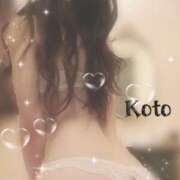 ヒメ日記 2025/08/01 08:28 投稿 こと Mrs Sirena（ミセスシレナ）