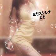 ヒメ日記 2025/10/22 10:27 投稿 こと Mrs Sirena（ミセスシレナ）