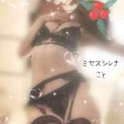 ヒメ日記 2025/11/07 18:30 投稿 こと Mrs Sirena（ミセスシレナ）