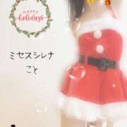 ヒメ日記 2025/12/18 12:28 投稿 こと Mrs Sirena（ミセスシレナ）