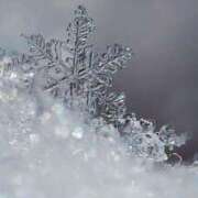 ヒメ日記 2026/01/10 00:30 投稿 こと Mrs Sirena（ミセスシレナ）