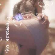 ヒメ日記 2026/01/19 09:27 投稿 こと Mrs Sirena（ミセスシレナ）