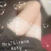 ヒメ日記 2026/02/07 21:30 投稿 こと Mrs Sirena（ミセスシレナ）