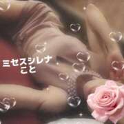 ヒメ日記 2026/02/08 22:31 投稿 こと Mrs Sirena（ミセスシレナ）