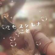 ヒメ日記 2026/03/15 11:43 投稿 こと Mrs Sirena（ミセスシレナ）