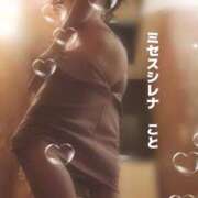 ヒメ日記 2026/07/02 08:34 投稿 こと Mrs Sirena（ミセスシレナ）
