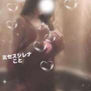 ヒメ日記 2026/07/18 08:36 投稿 こと Mrs Sirena（ミセスシレナ）