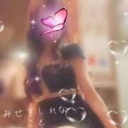 ヒメ日記 2026/08/20 08:42 投稿 こと Mrs Sirena（ミセスシレナ）