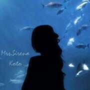 ヒメ日記 2026/09/19 08:42 投稿 こと Mrs Sirena（ミセスシレナ）
