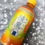 ヒメ日記 2026/01/10 14:15 投稿 うた パンドラ(上野)