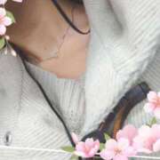 ヒメ日記 2025/03/19 11:14 投稿 今石 品川やすらぎ