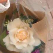 ヒメ日記 2025/05/26 09:34 投稿 今石 品川やすらぎ