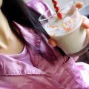 ヒメ日記 2025/06/28 10:08 投稿 今石 品川やすらぎ