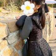 ヒメ日記 2025/09/25 18:04 投稿 今石 品川やすらぎ