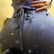 ヒメ日記 2025/11/19 11:53 投稿 今石 品川やすらぎ