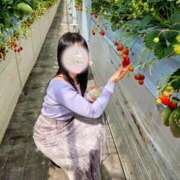 ヒメ日記 2026/04/04 10:40 投稿 今石 品川やすらぎ