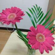 ヒメ日記 2025/08/22 01:48 投稿 葉月潤 五十路マダム　広島店