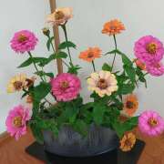 ヒメ日記 2026/03/25 00:12 投稿 葉月潤 五十路マダム　広島店