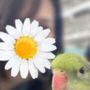 ヒメ日記 2025/08/31 08:30 投稿 雨宮えりか 華女(かのじょ) 松山店