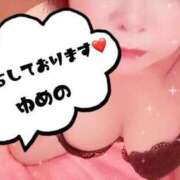 ヒメ日記 2025/04/04 10:04 投稿 夢乃(ゆめの) ビッグバード