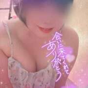 ヒメ日記 2025/04/18 23:03 投稿 夢乃(ゆめの) ビッグバード