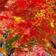 ヒメ日記 2025/11/17 21:14 投稿 夢乃(ゆめの) ビッグバード