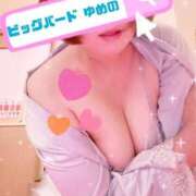 ヒメ日記 2026/05/27 23:24 投稿 夢乃(ゆめの) ビッグバード