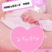 夢乃(ゆめの) (｡ﾟωﾟ)ﾉｸﾞｯﾓｰ☔️ ビッグバード