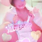 夢乃(ゆめの) おはニョロよ～🐍🐍🐍 ビッグバード