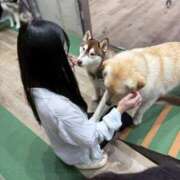 ヒメ日記 2025/06/01 12:03 投稿 うみ 東京アロマスタイル