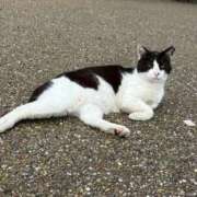 ヒメ日記 2025/07/23 14:38 投稿 うみ 東京アロマスタイル