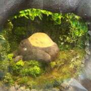 りあ お待ちしてます! Sakura Spa