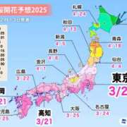 ヒメ日記 2025/02/14 10:42 投稿 九重さちよ 五十路マダム 岐阜店