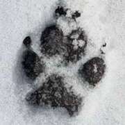 ヒメ日記 2025/03/07 16:02 投稿 九重さちよ 五十路マダム 岐阜店