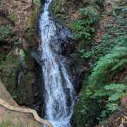 ヒメ日記 2025/03/11 10:50 投稿 九重さちよ 五十路マダム 岐阜店
