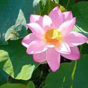 ヒメ日記 2025/03/28 21:06 投稿 九重さちよ 五十路マダム 岐阜店