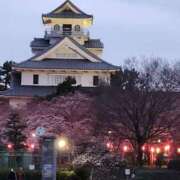 ヒメ日記 2025/04/07 09:36 投稿 九重さちよ 五十路マダム 岐阜店