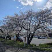 ヒメ日記 2025/04/07 19:20 投稿 九重さちよ 五十路マダム 岐阜店