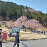 ヒメ日記 2025/04/12 09:26 投稿 九重さちよ 五十路マダム 岐阜店