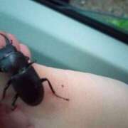 ヒメ日記 2025/05/09 21:08 投稿 九重さちよ 五十路マダム 岐阜店