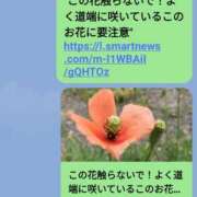 ヒメ日記 2025/05/23 09:26 投稿 九重さちよ 五十路マダム 岐阜店