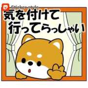 ヒメ日記 2025/06/10 07:46 投稿 九重さちよ 五十路マダム 岐阜店