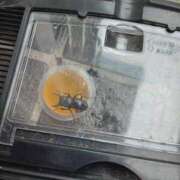 ヒメ日記 2025/06/22 13:44 投稿 九重さちよ 五十路マダム 岐阜店