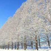 ヒメ日記 2025/07/25 17:34 投稿 九重さちよ 五十路マダム 岐阜店