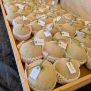 ヒメ日記 2025/07/31 14:06 投稿 九重さちよ 五十路マダム 岐阜店