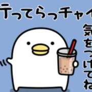 ヒメ日記 2025/08/01 09:14 投稿 九重さちよ 五十路マダム 岐阜店