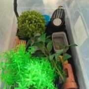 ヒメ日記 2025/09/22 11:56 投稿 九重さちよ 五十路マダム 岐阜店