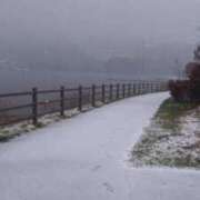 ヒメ日記 2025/11/05 01:08 投稿 九重さちよ 五十路マダム 岐阜店