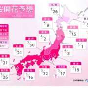 ヒメ日記 2026/03/23 10:24 投稿 九重さちよ 五十路マダム 岐阜店